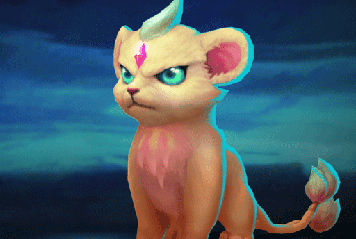 Skygem Protector